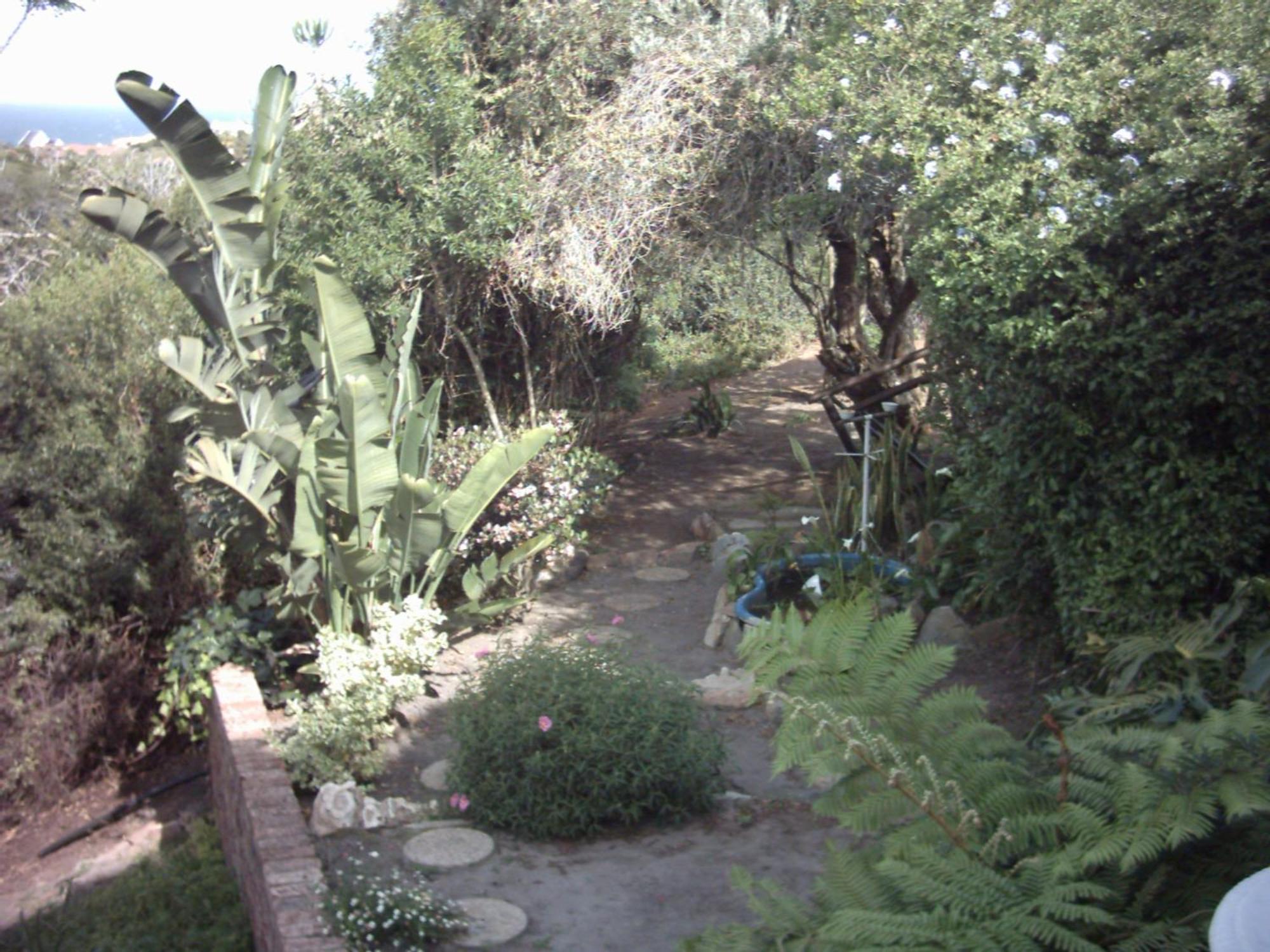 Dolphin View Guesthouse Jeffreys Bay Exterior photo