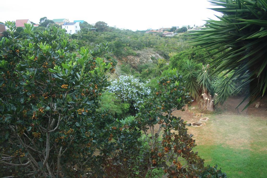 Dolphin View Guesthouse Jeffreys Bay Exterior photo