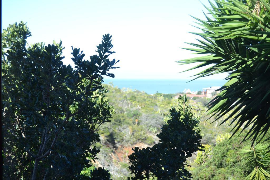 Dolphin View Guesthouse Jeffreys Bay Exterior photo